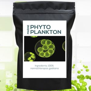 Organic Marine Phytoplankton Powder Nannochloropsis Gadit.